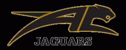 Andover Central logo