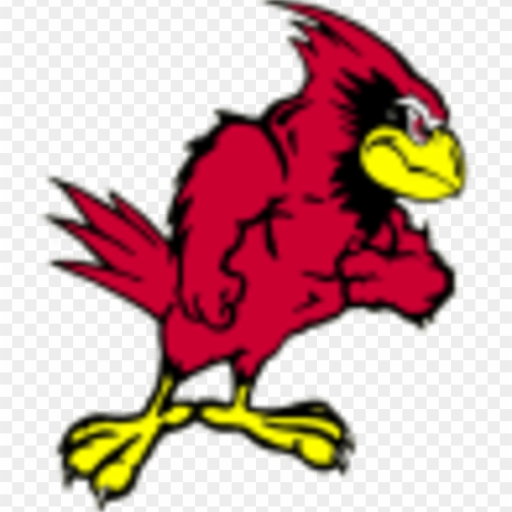 Benton Cardinals logo