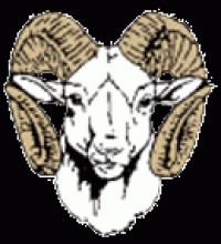 Blue Valley Randolph logo