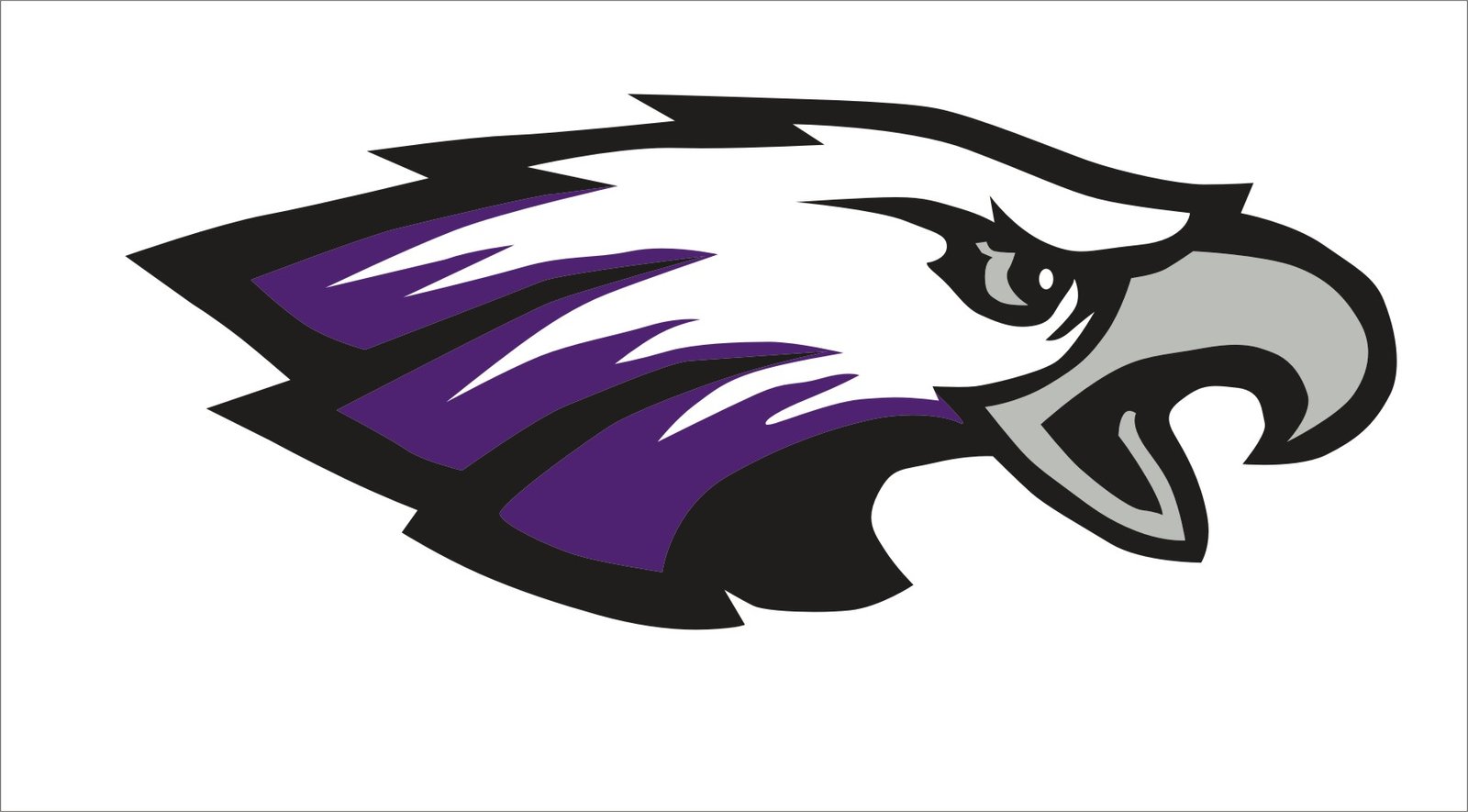 Fair Grove Eagles logo
