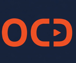 300x250 ad creative for Orangecat Digital