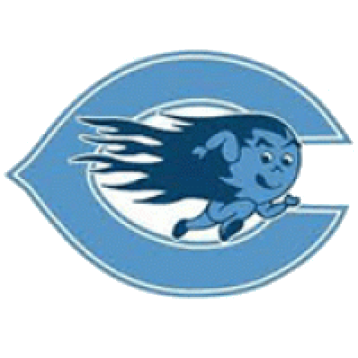  Blue Comets logo