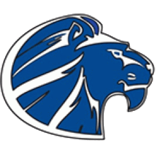  Lions logo
