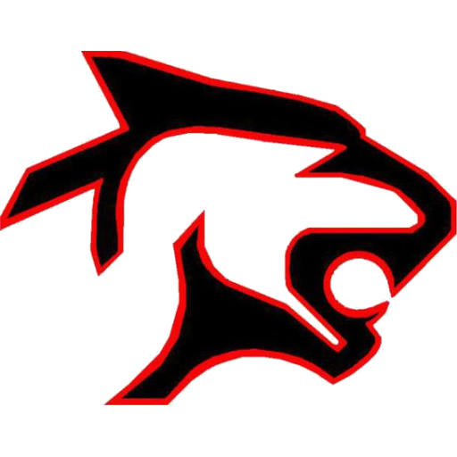  Panthers logo