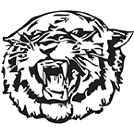  Wildcats logo