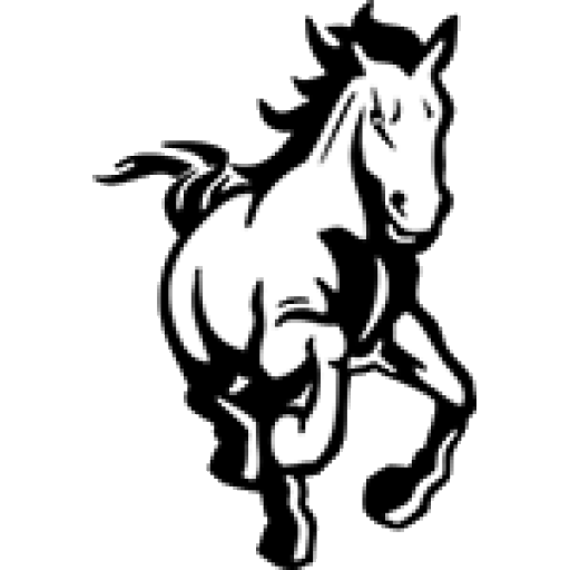  Mustangs logo